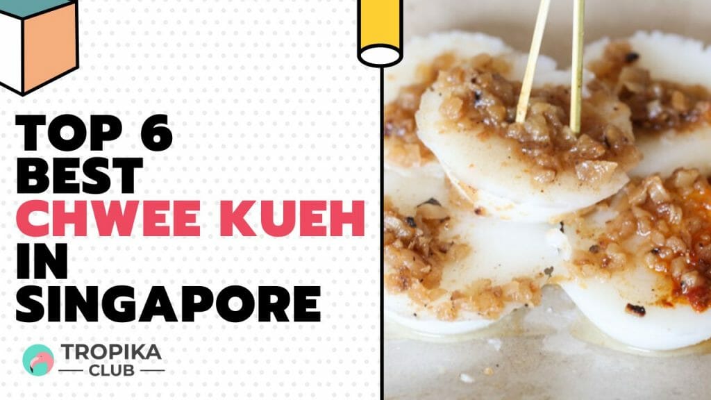 TOP 10 BEST CHWEE KUEH IN SINGAPORE