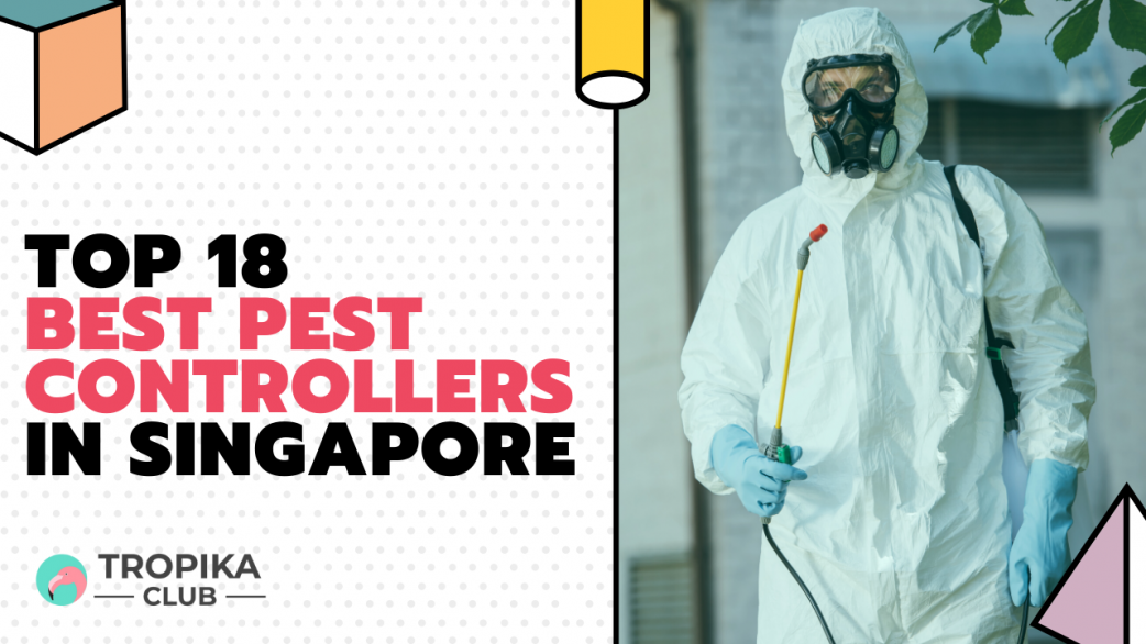 Best Pest Controllers in Singapore