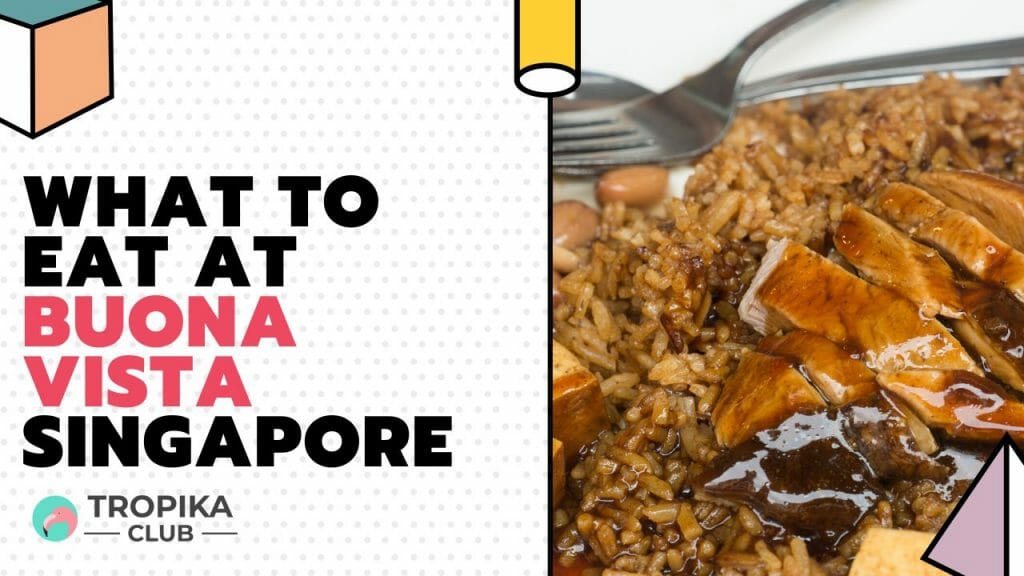 What to Eat at Buona Vista Singapore