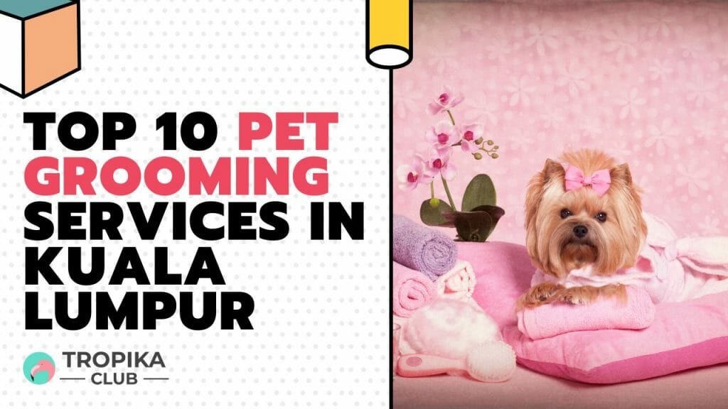 Top 10 Pet Grooming Services in Kuala Lumpur