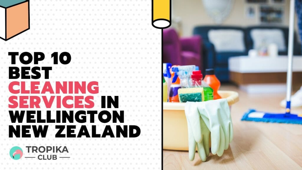 Best Cleaning Services in Wellington 