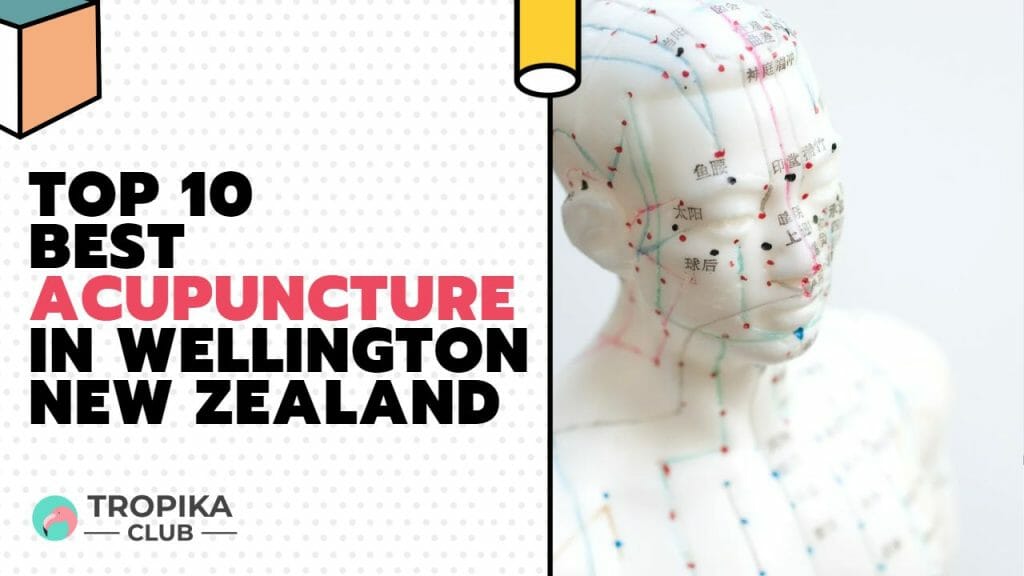 Best Acupuncture in Wellington