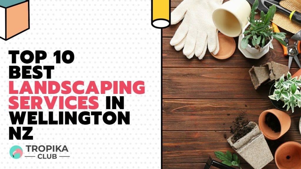  Best Landscaping Services in Wellington