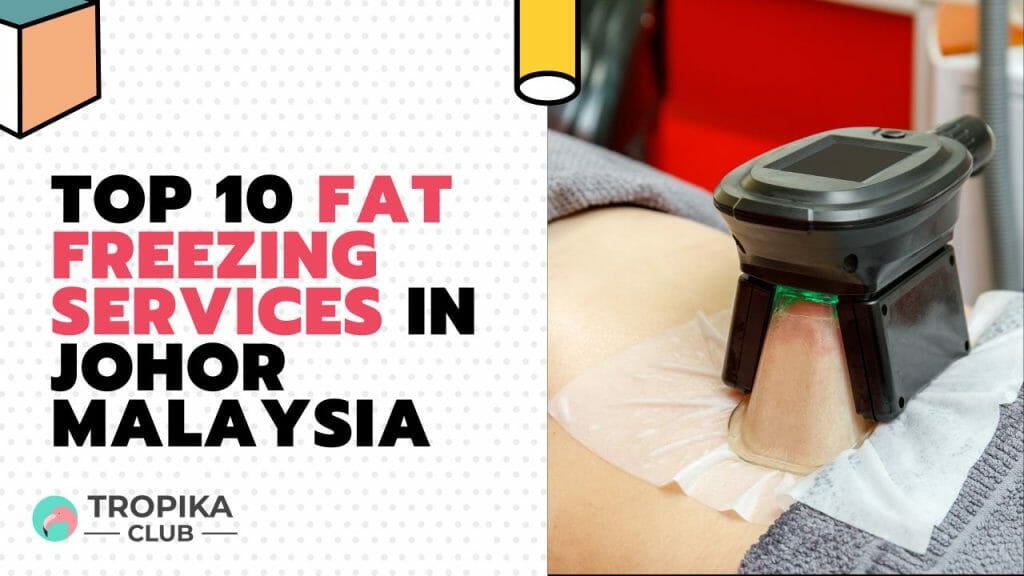 Fat Freezing Services in Johor