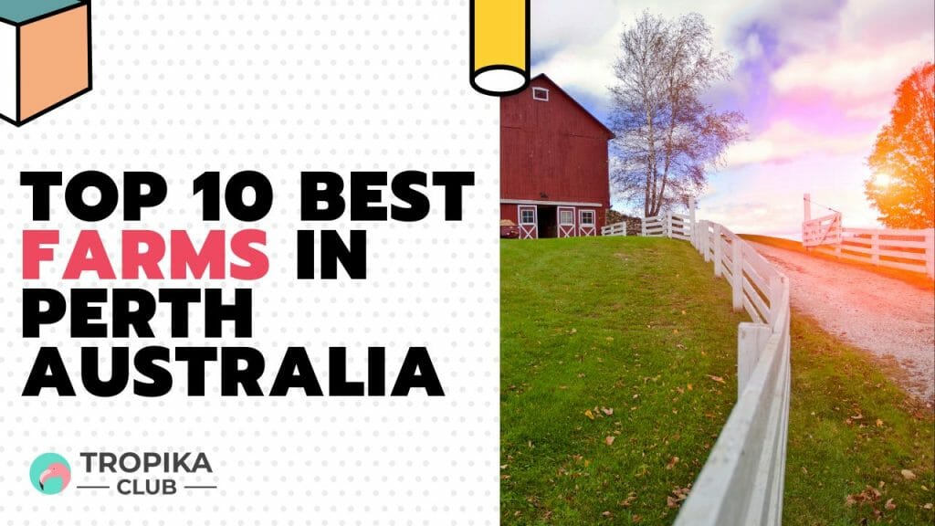  Best Farms in Perth