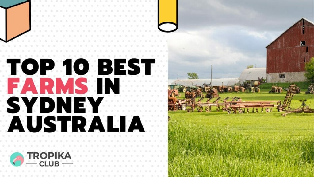 Best Farms in Sydney 