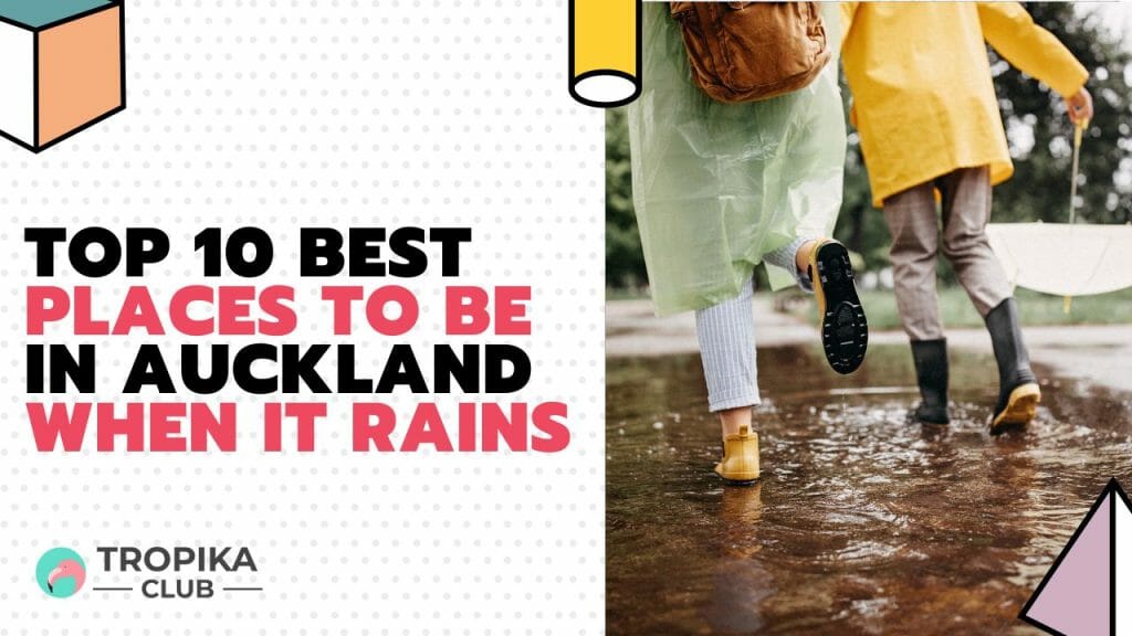 Best Places to be in Auckland when it rains
