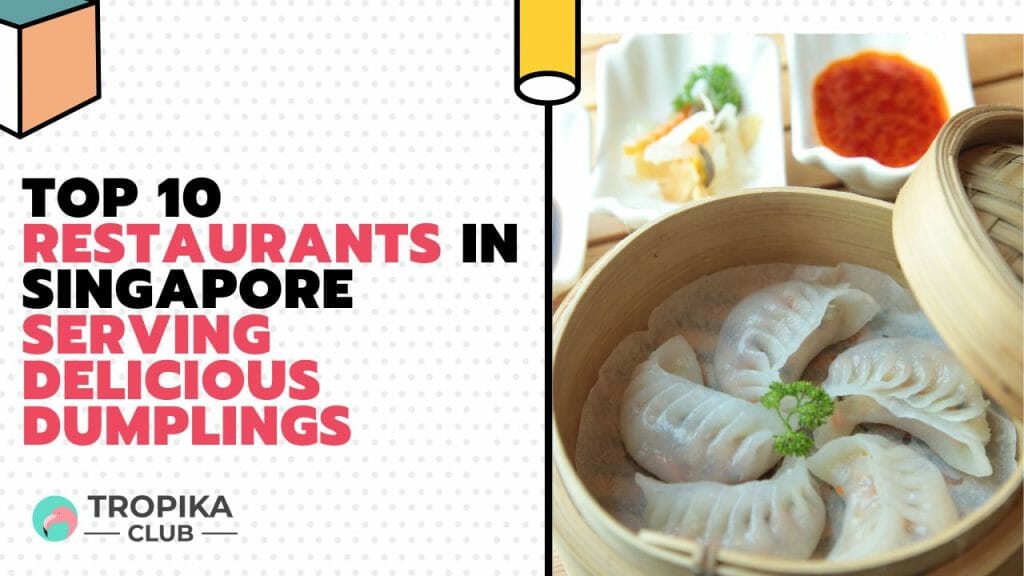 Restaurants in Singapore Serving Delicious Dumplings