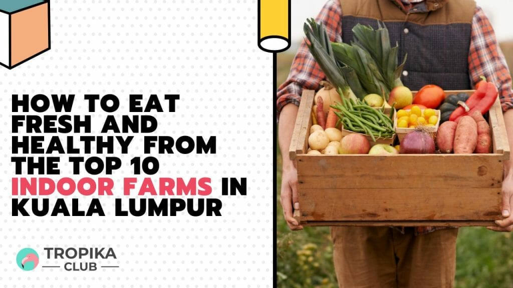 How to Eat Fresh and Healthy from the Indoor Farms in Kuala Lumpur